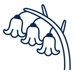 Cluster Icon